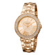 Ferre Milano Ladies Watch FM1L058M0081 - 70x70
