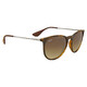 Ray Ban Erika Classic Brown Gradient Phantos Ladies Sunglasses RB4171 865/13 54 - 70x70