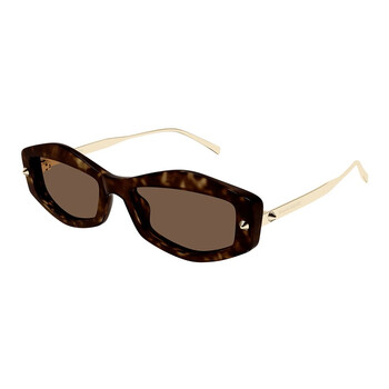 Brown Geometric Ladies Sunglasses AM0482S 002 55