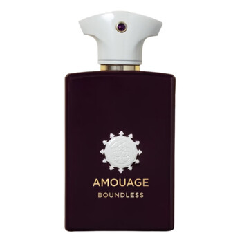 Amouage Men's Journey EDP Spray 3.4 oz Fragrances