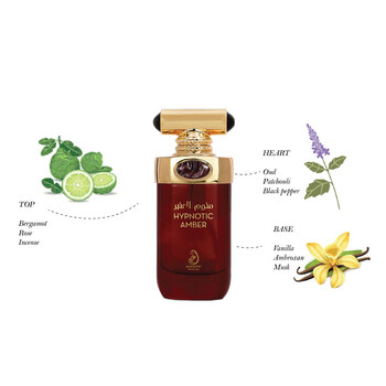 Men's Hypnotic Amber EDP Spray 3.4 oz Fragrances 6290102031956