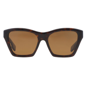 Dolce & Gabbana Dark Brown Butterfly Ladies Sunglasses