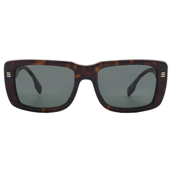 小物 BURBERRY wellington sunglasses Burberry BE4432U Sunglasses | LensCrafters