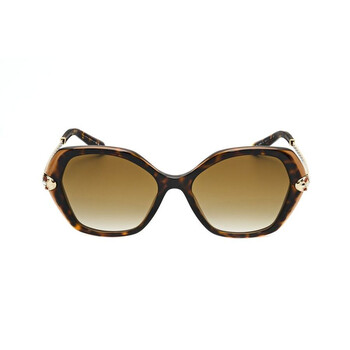 Ladies Brown Square Sunglasses 0BV8241KB-5496T5