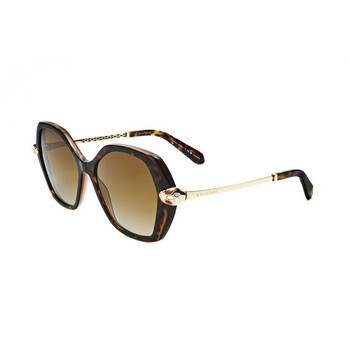 Ladies Brown Square Sunglasses 0BV8241KB-5496T5