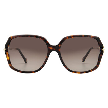Gucci Brown Gradient Butterfly Ladies Sunglasses GG0765SA 003 57