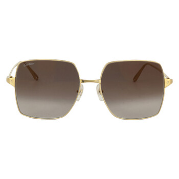 Salvatore Ferragamo サングラス ブラウン SF918SA-210 Salvatore Ferragamo フェラガモ FERRAGAMO サングラス アイ
