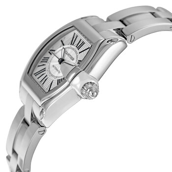 Roadster Steel Automatic Men's Watch W62025V3