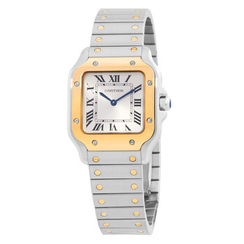 Santos Small Model Silver Sunray Dial Unisex Watch W2SA0033