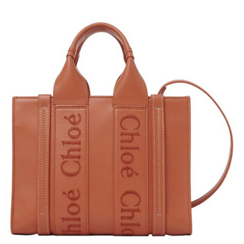 Chloé Ladies Cement Pink Small Woody Tote Bag CHC23US397I60
