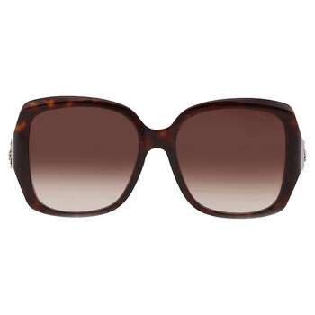 Brown Gradient Square Ladies Sunglasses SCH288S 0722 57