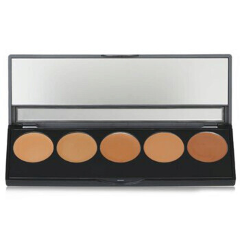 Ladies Ultimate Foundation 5 In 1 Pro Palette 0.44 oz # 300 Series Makeup 733410025034
