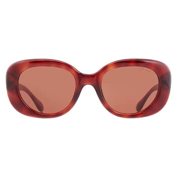 Brown Oval Ladies Sunglasses HC8391U 577473 53