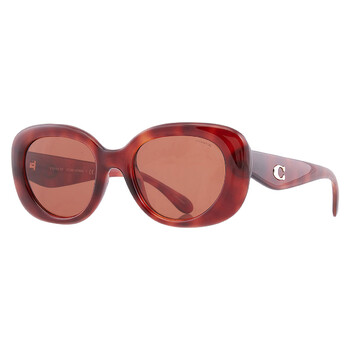 Brown Oval Ladies Sunglasses HC8391U 577473 53