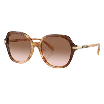 Coach Designer Sunglasses - Jomashop