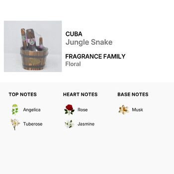 Ladies Jungle Snake Gift Set Fragrances 5425017736745