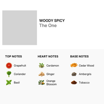 Men's The One Gift Set Fragrances 8057971187546