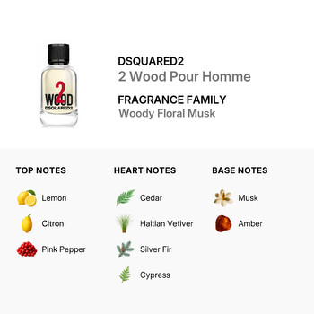 Men's Wood 2 EDT Spray 1.7 oz Fragrances 8011003864287