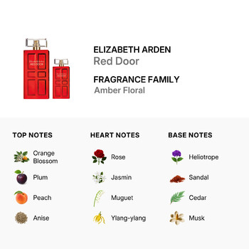 Ladies Red Door Gift Set Fragrances 085805248444