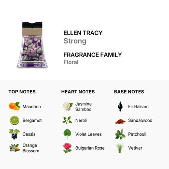 Ladies Floral Purple strong EDP Spray 3.4 oz (Tester) Fragrances 849017009534