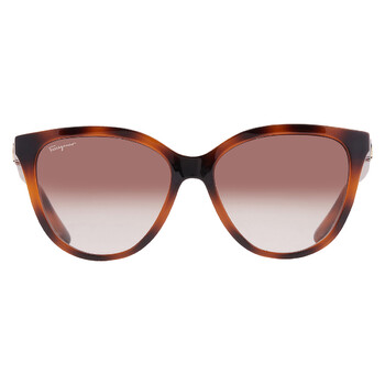 Ferragamo Salvatore Ferragamo Brown Gradient Butterfly Ladies