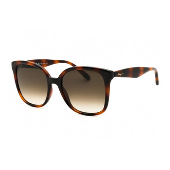 New Salvatore Ferragamo SF1102S 619 Women\'s Brown Gradient Cat-Eye Sunglasses Ferragamo Brown Gradient Cat Eye Ladies Sunglasses SF1102S  main image 4