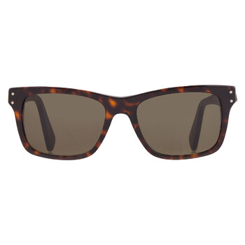 Ferragamo Salvatore Ferragamo Brown Browline Men display picture 1