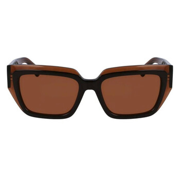 Ferragamo Salvatore Ferragamo Brown Rectangular Ladies Sunglasses