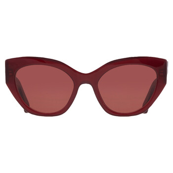 Ferragamo Salvatore Ferragamo Brown Cat Eye Ladies Sunglasses