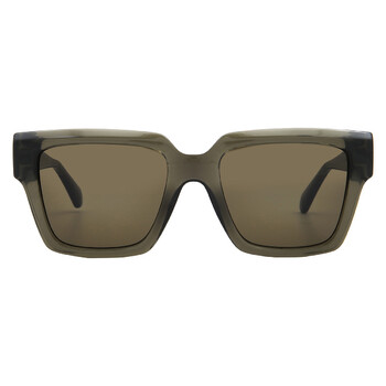 Ferragamo Salvatore Ferragamo Brown Browline Men display picture 2