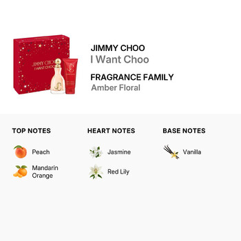 Ladies I Want Choo Gift Set Fragrances 3386460139854