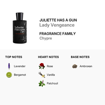 Ladies Lady Vengeance EDP Spray 3.38 oz (Tester) Fragrances 3770000002706