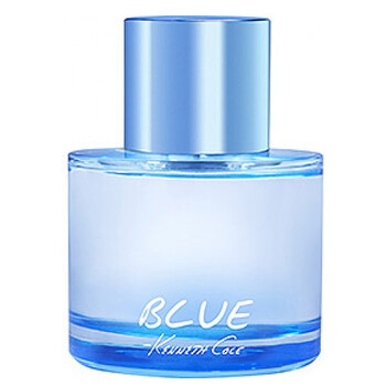 Blue by Kenneth Cole EDT Spray 3.4 oz (100 ml) (m)