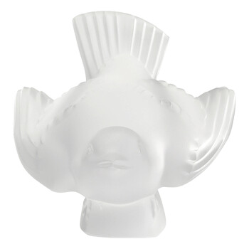 Sparrow Wings Out 1163300