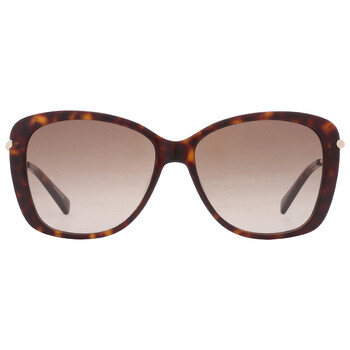 Jimmy Choo Brown Gradient Butterfly Ladies Sunglasses AMIRA