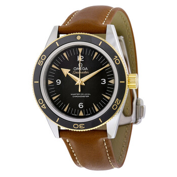 Seamaster Automatic Black Dial Men's Watch 233.22.41.21.01.001