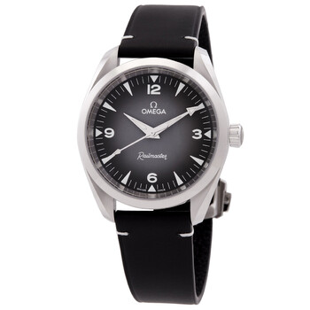 Seamaster Railmaster Automatic Chronometer Grey Dial Watch 235.12.38.20.06.001