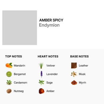 Men's Endymion EDC Spray 0.33 oz Fragrances 5056245041952