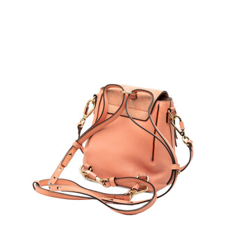 Pre-owned Chloe Mini Calfskin and Suede Faye Backpack Ladies 02185765-5