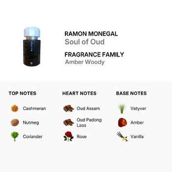 Unisex Soul of Oud Extrait de Parfum Spray 3.4 oz Fragrances 8436543924367