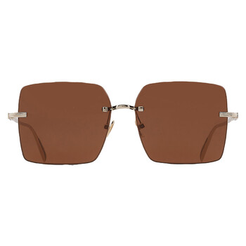 Ferragamo Salvatore Ferragamo Brown Square Ladies Sunglasses