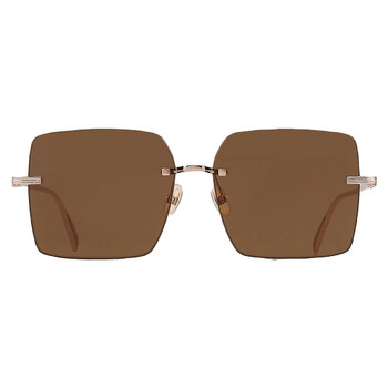 Ferragamo Salvatore Ferragamo Brown Square Ladies Sunglasses