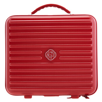 Hard Case Logo Carry Bag