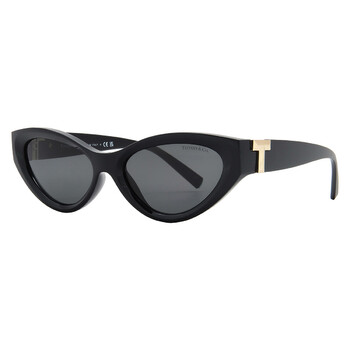Tiffany & Co. Designer Sunglasses - Jomashop