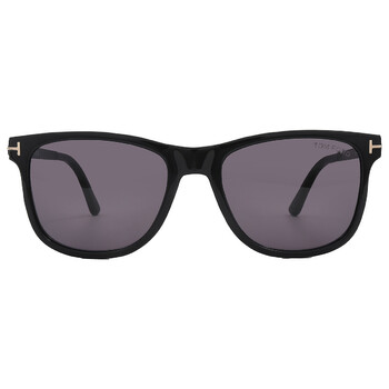 Tom Ford Mikel Smoke Cat Eye Ladies Sunglasses FT1085 01A 54