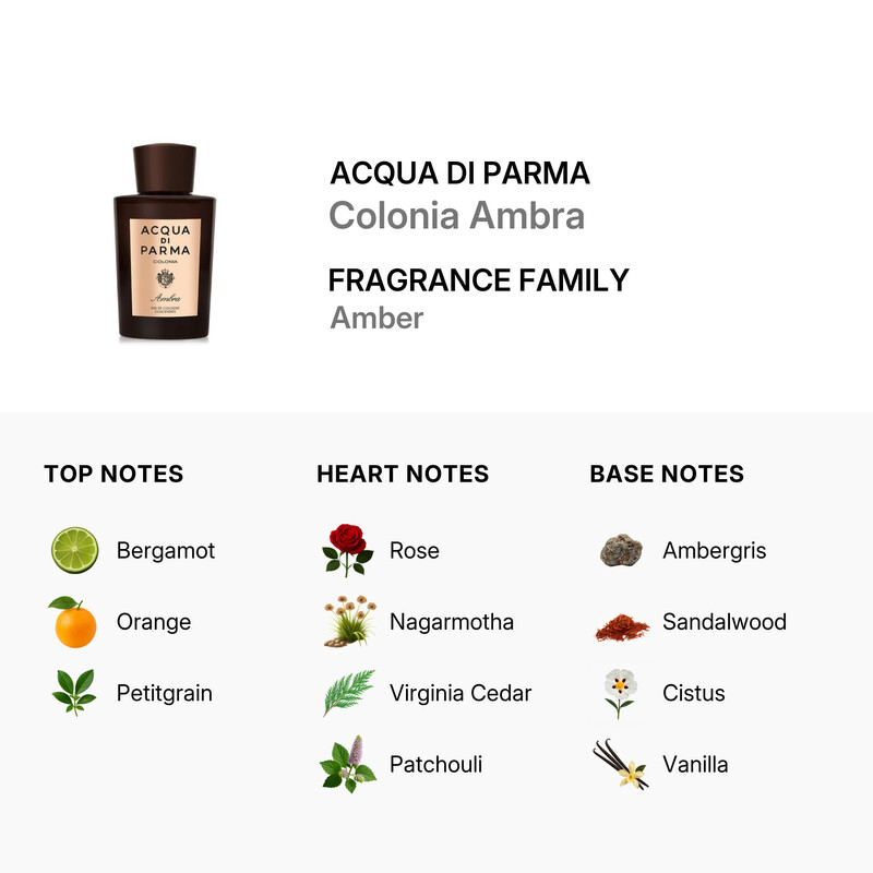 Acqua Di Parma Men's Colonia Ambra Concentre EDC Spray 6 oz