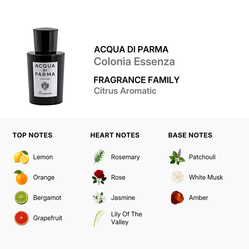 Acqua Di Parma Men's Colonia Essenza EDC Spray 1.7 oz Fragrances
