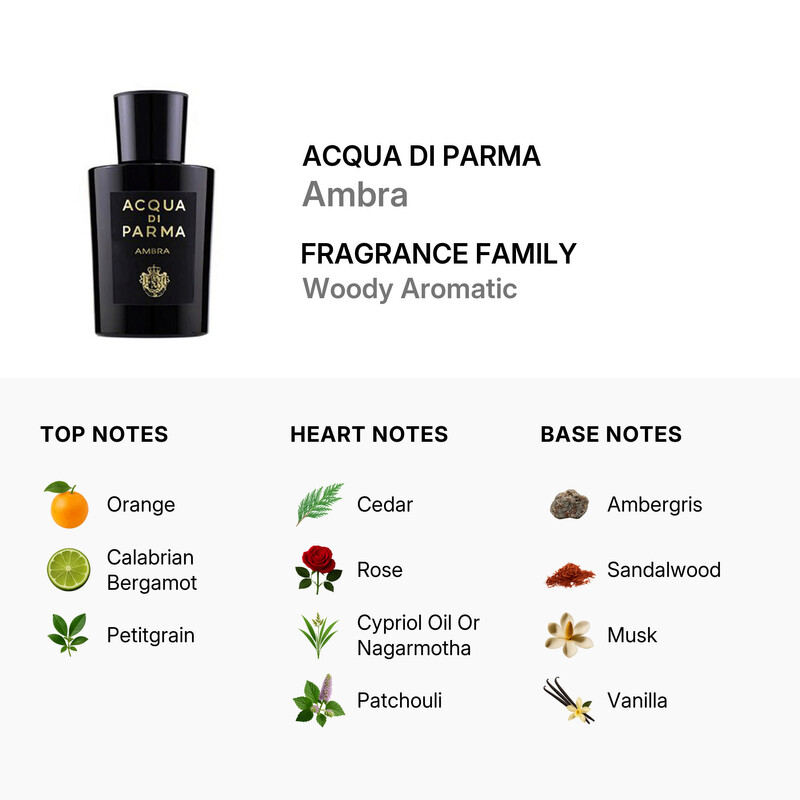 Acqua Di Parma Unisex Ambra EDP 3.4 oz Fragrances 8028713810718