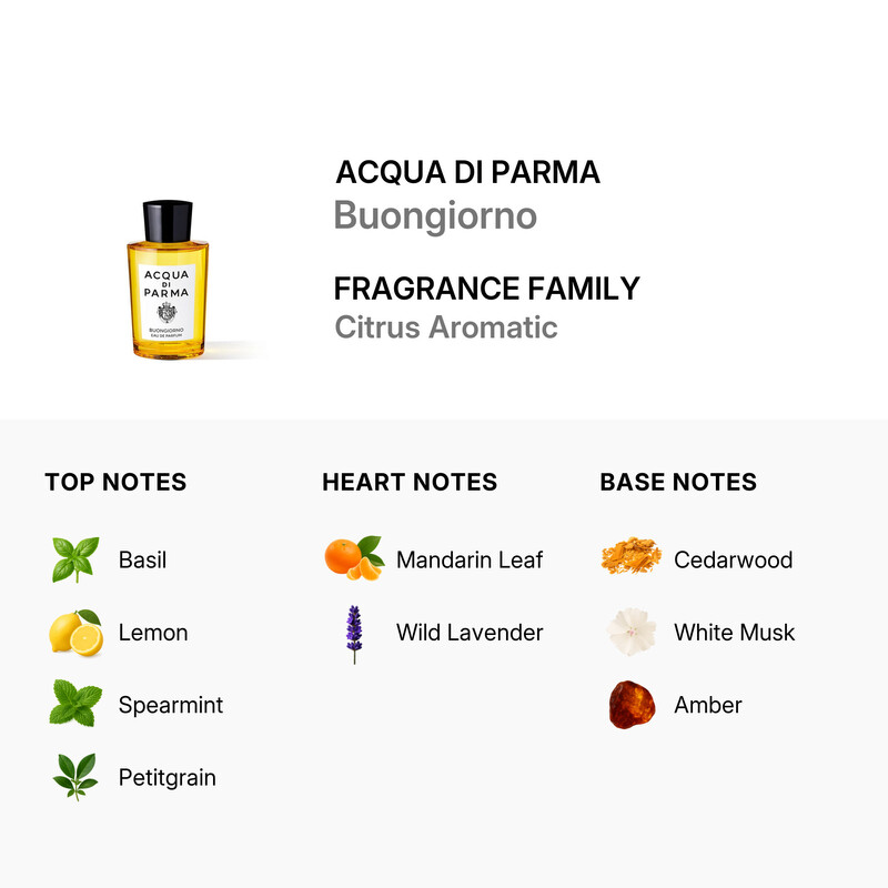 Acqua Di Parma Unisex Buongiorno EDP 6.0 oz Fragrances
