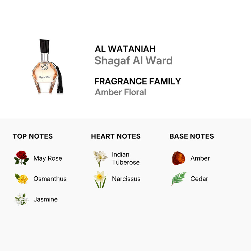 Al Wataniah Ladies Shagaf Al Ward EDP 3.4 oz Fragrances
